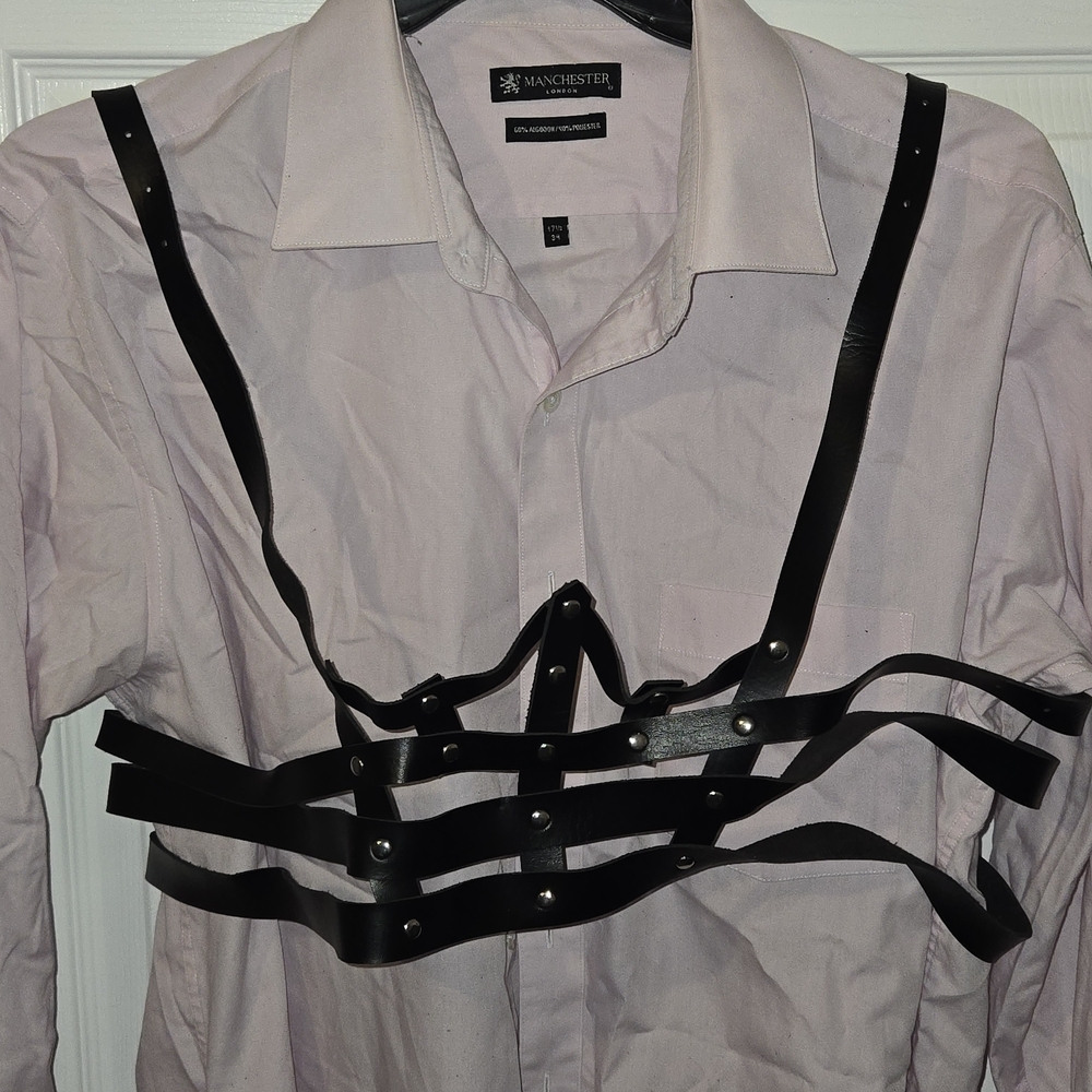 Black Harness
